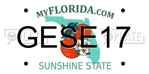 GESE17 Florida License Plate