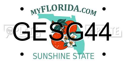 GESG44 Florida License Plate