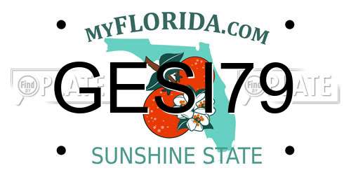 GESI79 Florida License Plate