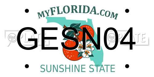 GESN04 Florida License Plate