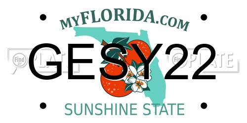 GESY22 Florida License Plate