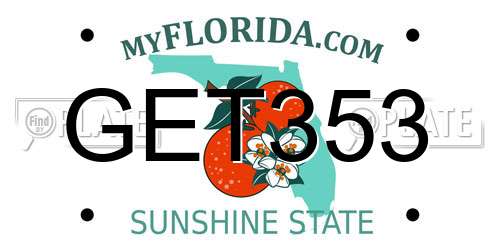 GET353 Florida License Plate
