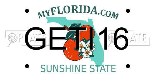 GETI16 Florida License Plate