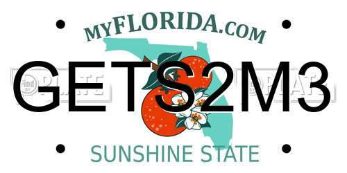 GETS2M3 Florida License Plate