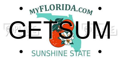 GETSUM Florida License Plate