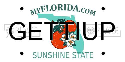 GETTIUP Florida License Plate