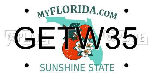 GETW35 Florida License Plate