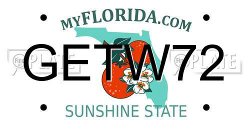 GETW72 Florida License Plate