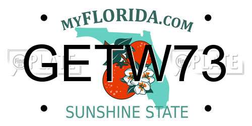 GETW73 Florida License Plate