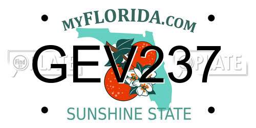 GEV237 Florida License Plate