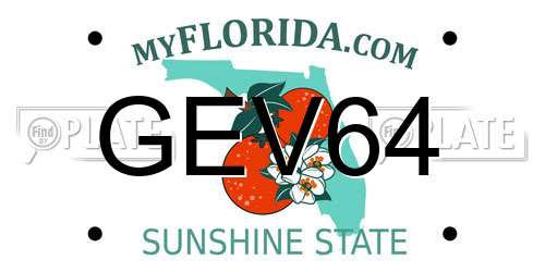 GEV64 Florida License Plate
