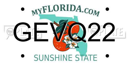 GEVQ22 Florida License Plate