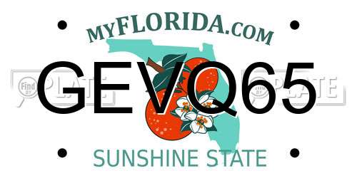 GEVQ65 Florida License Plate