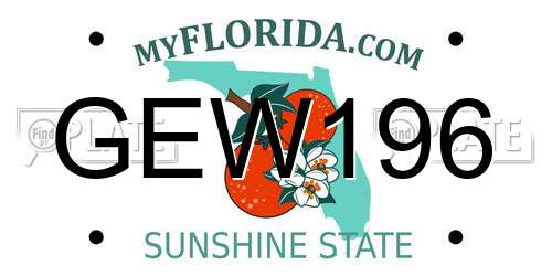 GEW196 Florida License Plate