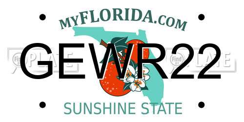 GEWR22 Florida License Plate