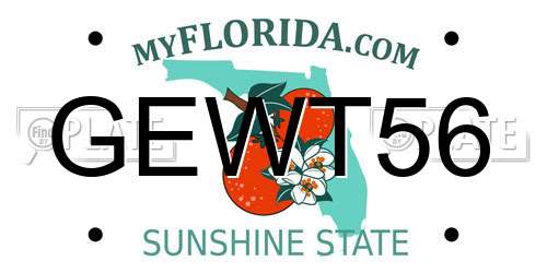 GEWT56 Florida License Plate