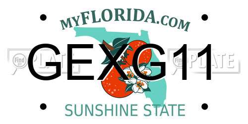 GEXG11 Florida License Plate