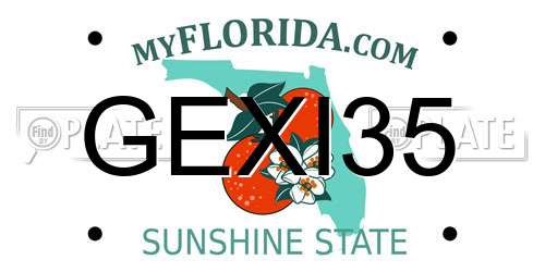 GEXI35 Florida License Plate