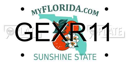 GEXR11 Florida License Plate