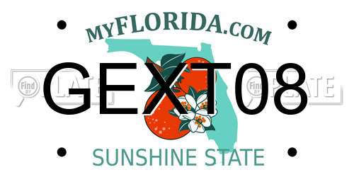 GEXT08 Florida License Plate