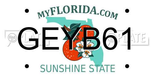 GEYB61 Florida License Plate