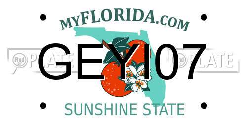 GEYI07 Florida License Plate