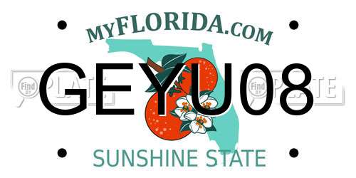 GEYU08 Florida License Plate