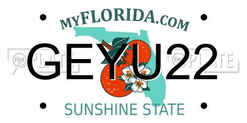 GEYU22 Florida License Plate