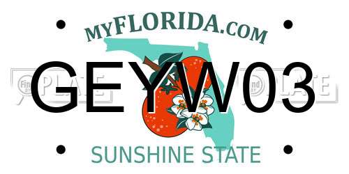 GEYW03 Florida License Plate