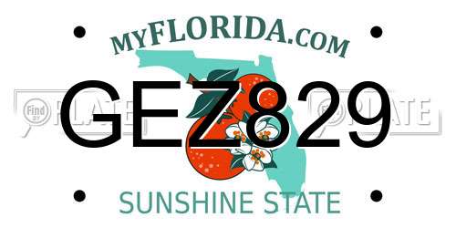GEZ829 Florida License Plate