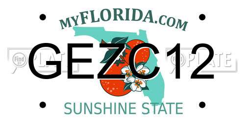 GEZC12 Florida License Plate