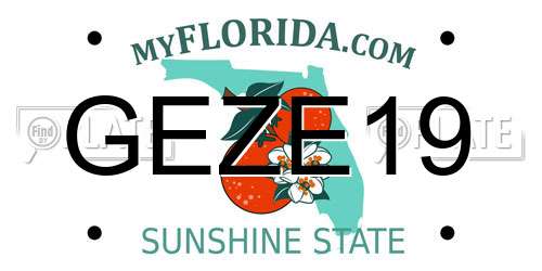 GEZE19 Florida License Plate