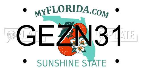 GEZN31 Florida License Plate