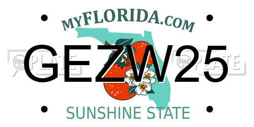 GEZW25 Florida License Plate