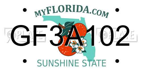 GF3A102 Florida License Plate