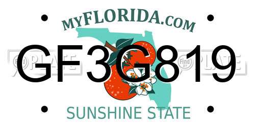 GF3G819 Florida License Plate