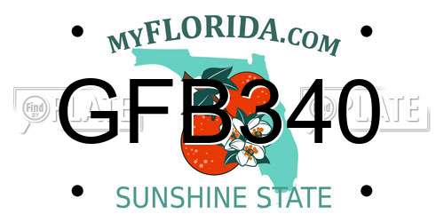 GFB340 Florida License Plate