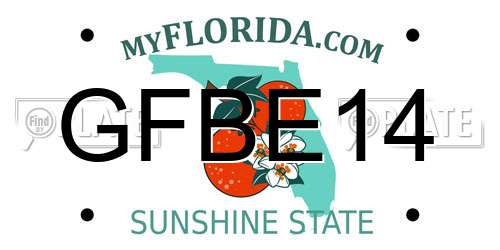 GFBE14 Florida License Plate