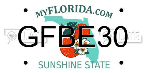 GFBE30 Florida License Plate