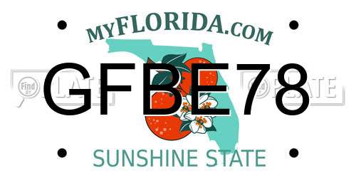 GFBE78 Florida License Plate