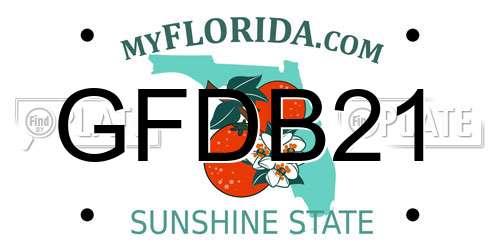 GFDB21 Florida License Plate