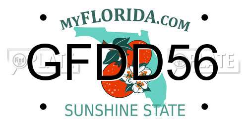 GFDD56 Florida License Plate