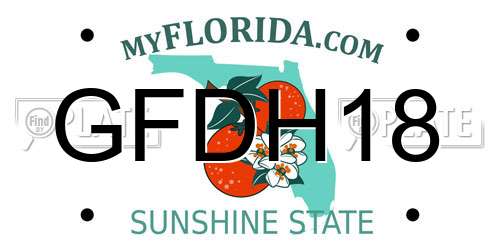 GFDH18 Florida License Plate