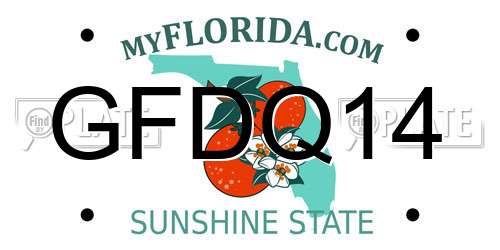 GFDQ14 Florida License Plate