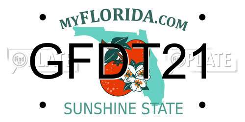 GFDT21 Florida License Plate