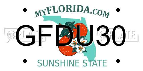 GFDU30 Florida License Plate