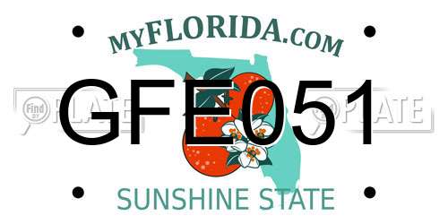 GFE051 Florida License Plate