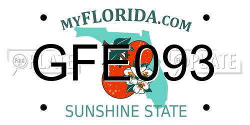 GFE093 Florida License Plate