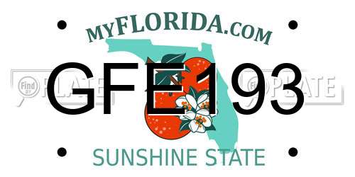 GFE193 Florida License Plate