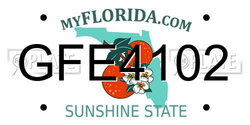 GFE4102 Florida License Plate